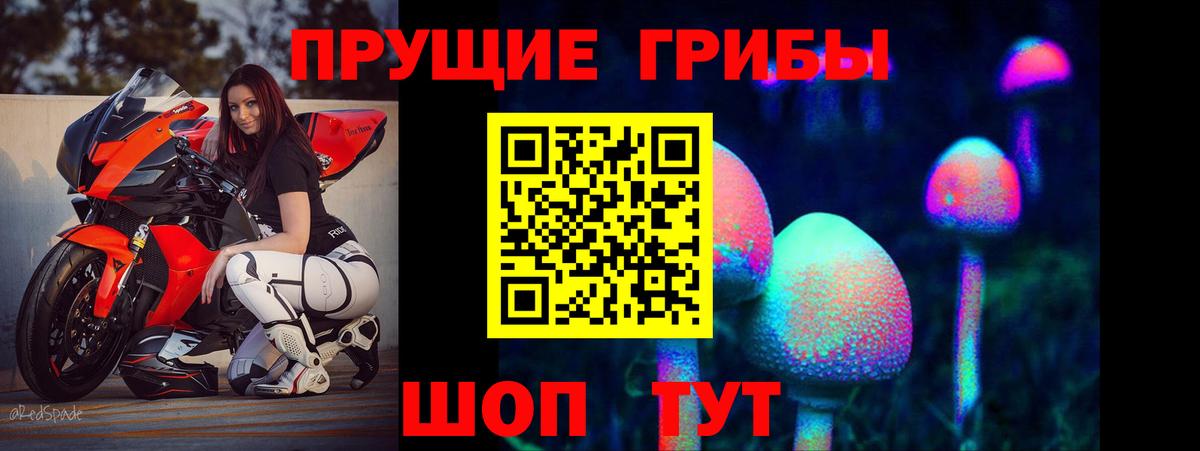 Псилоцибиновые грибы мухоморы  Вход с VPN  Новокузнецк  Псилоцибиновые грибы Psilocybine cubensis 