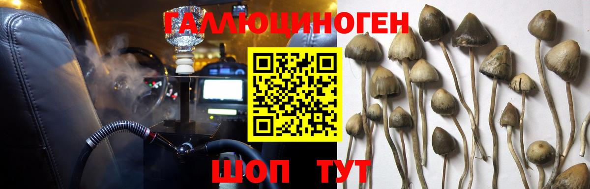 Псилоцибиновые грибы Magic Shrooms Новокузнецк